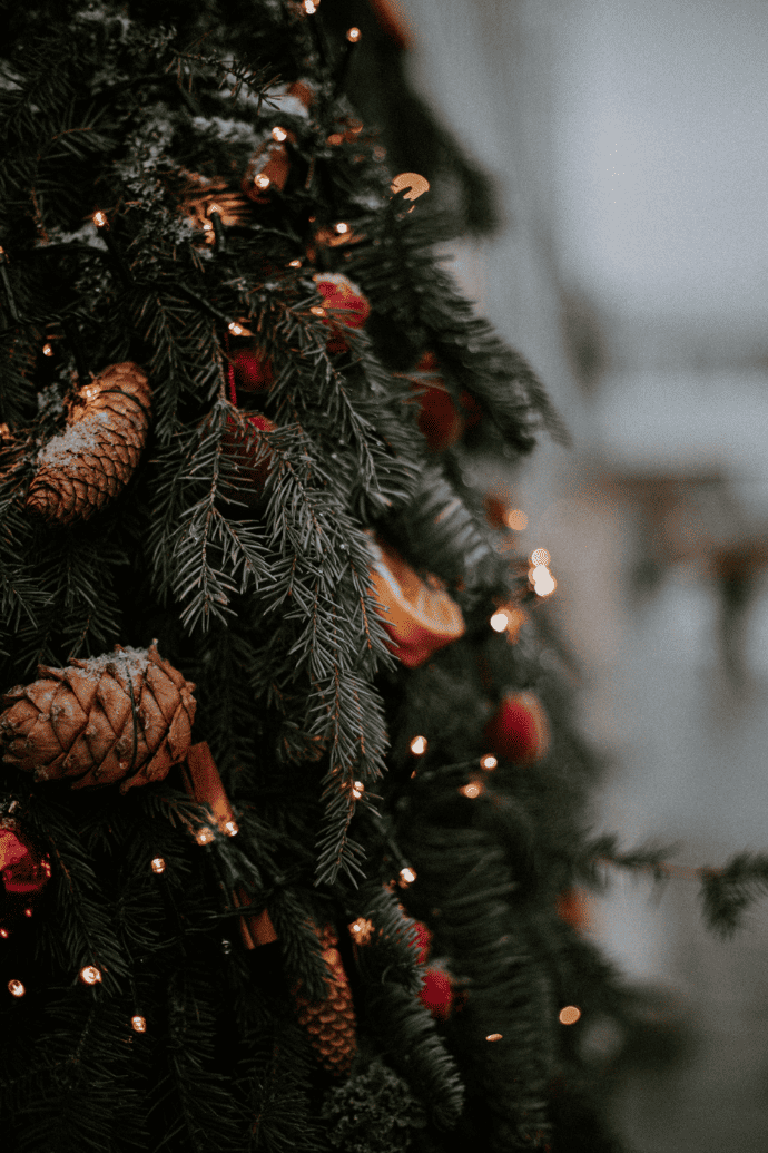8 Steps to Decorate Your Perfect Themed Christmas Tree - Decorator's  Warehouse