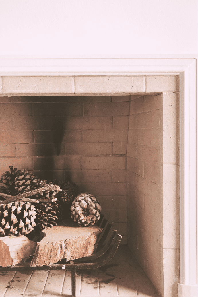 empty fireplace with logs, pine cones, fireplace grate