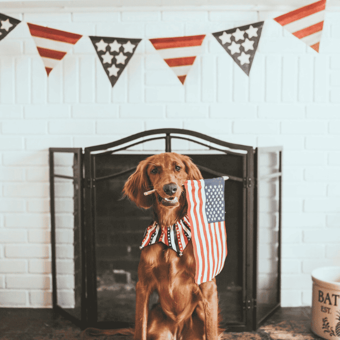 A brown dog sits in front of a fireplace, wearing a red, white, and blue scarf and holding a small American flag in its mouth. Patriotic flag bunting hangs on the white brick wall behind it.