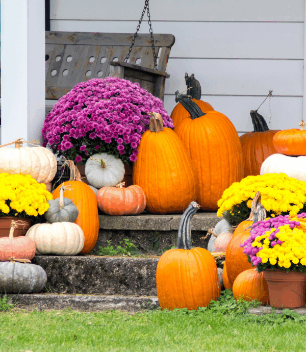 A porch decorated for autumn with various pumpkins, gourds, and pots of yellow and purple chrysanthemums arranged on the steps and surrounding area. A wooden porch swing hangs in the background.