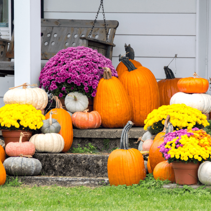 A porch decorated for autumn with various pumpkins, gourds, and pots of yellow and purple chrysanthemums arranged on the steps and surrounding area. A wooden porch swing hangs in the background.