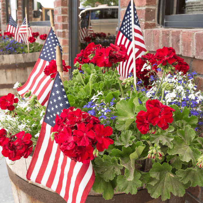 A wooden planter filled with red geraniums, white and blue flowers, and several small American flags makes for easy patriotic decorations outside a brick building—perfect for the 4th of July.